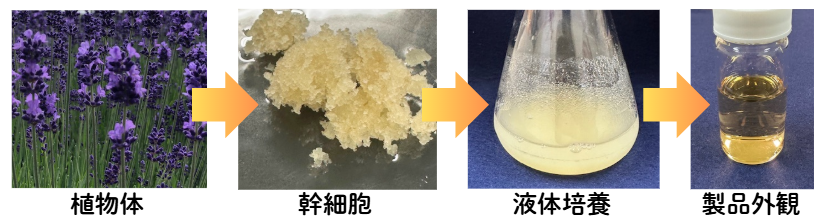 ライフサイエンス