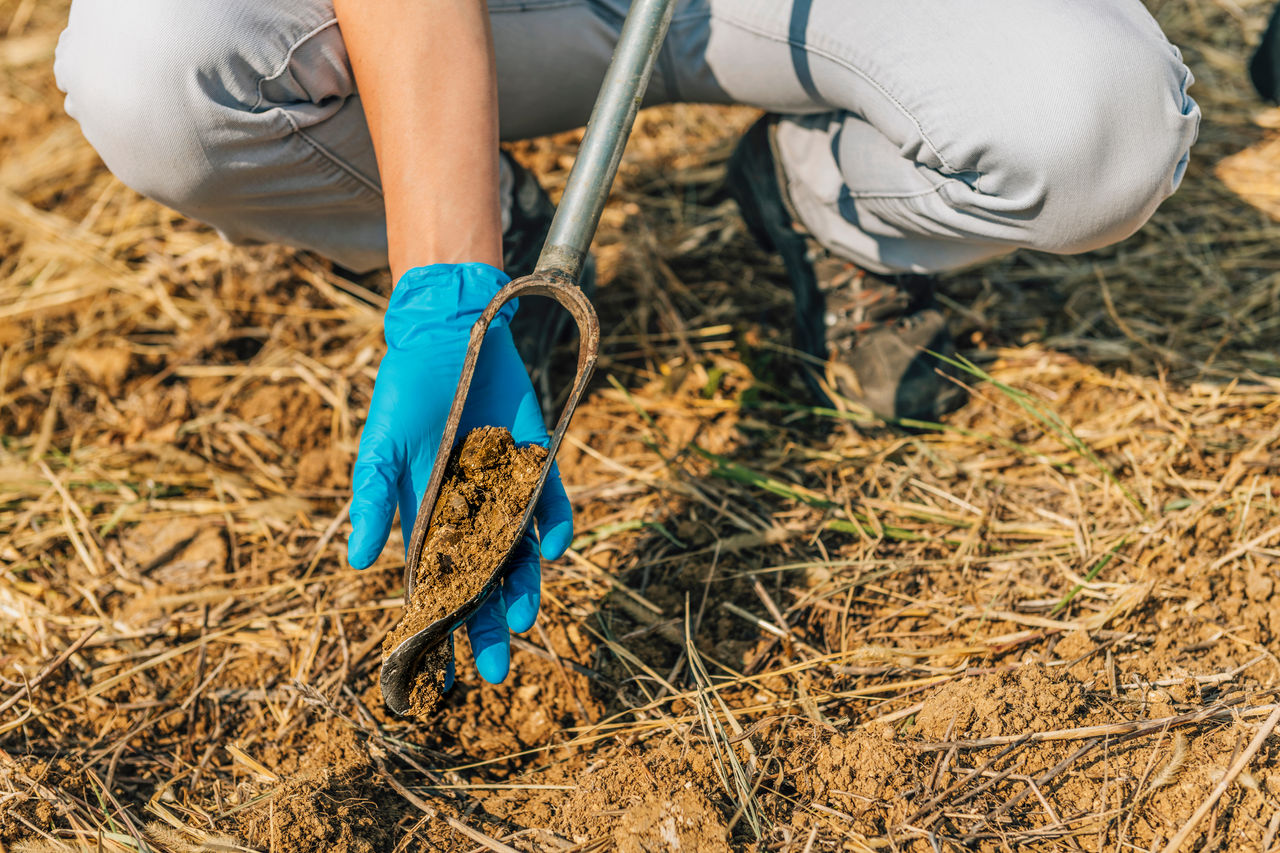 soil analysis